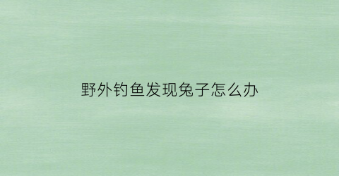 “野外钓鱼发现兔子怎么办(野外钓鱼发现兔子怎么办呢)