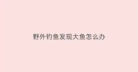 “野外钓鱼发现大鱼怎么办(野外钓大鱼用什么饵料)