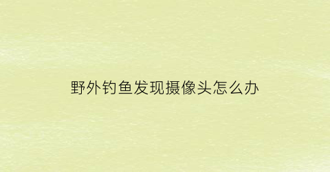 野外钓鱼发现摄像头怎么办(摄像头钓鱼)