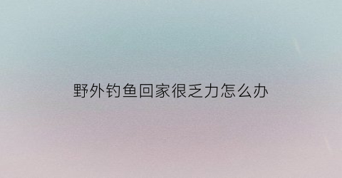 野外钓鱼回家很乏力怎么办(野外钓鱼210天)