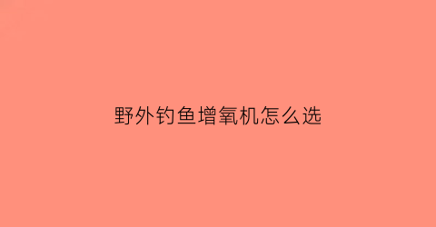 野外钓鱼增氧机怎么选(户外钓鱼增氧泵哪个牌子好)