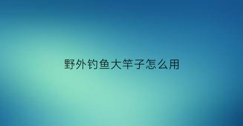 “野外钓鱼大竿子怎么用(野外钓鱼用什么调性的鱼竿好)