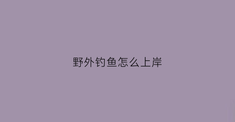 野外钓鱼怎么上岸