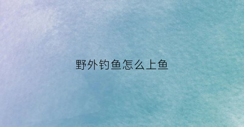 野外钓鱼怎么上鱼(钓鱼小技巧野外钓)