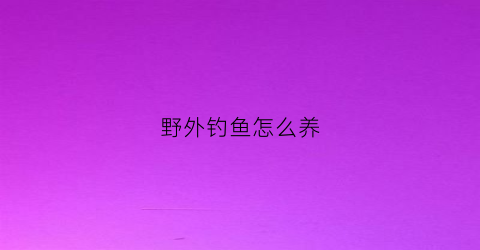 野外钓鱼怎么养