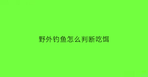 “野外钓鱼怎么判断吃饵(野钓时怎么判断鱼情)