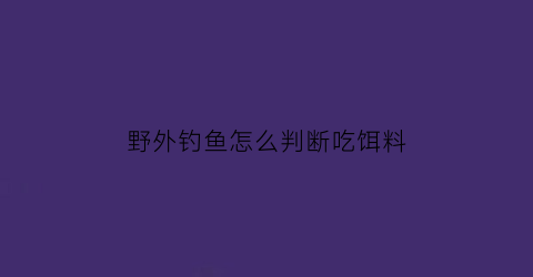 野外钓鱼怎么判断吃饵料