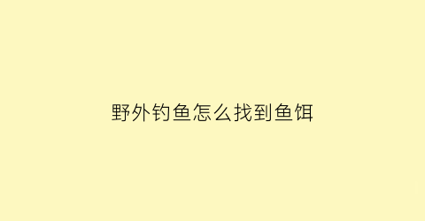 “野外钓鱼怎么找到鱼饵(如何在野外钓大鱼)