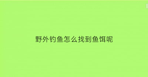 野外钓鱼怎么找到鱼饵呢(如何在野外钓大鱼)