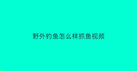 “野外钓鱼怎么样抓鱼视频(野外钓鱼怎么样抓鱼视频讲解)