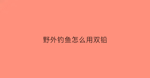 “野外钓鱼怎么用双铅(野外钓鱼怎么用双铅钓)