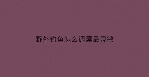 野外钓鱼怎么调漂最灵敏(野外钓鱼怎么调漂最灵敏视频)
