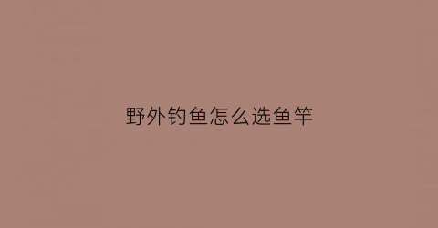 野外钓鱼怎么选鱼竿(野外钓鱼用什么鱼竿好)