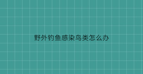 野外钓鱼感染鸟类怎么办(钓鱼会感染寄生虫吗)