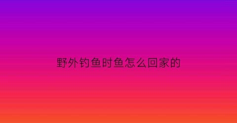野外钓鱼时鱼怎么回家的(钓鱼小技巧野外钓)