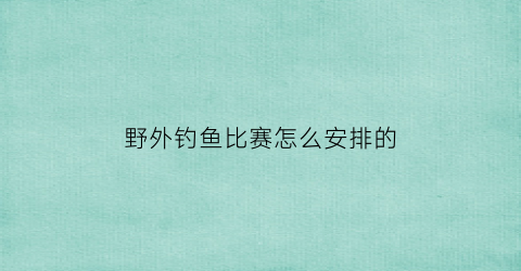 “野外钓鱼比赛怎么安排的(户外钓鱼野炊视频)