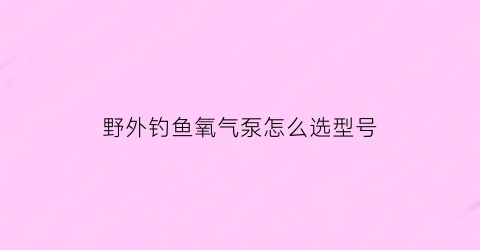野外钓鱼氧气泵怎么选型号(钓鱼用的充氧泵多少钱)