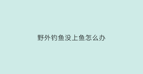 野外钓鱼没上鱼怎么办(野外钓鱼不吃口怎么办)
