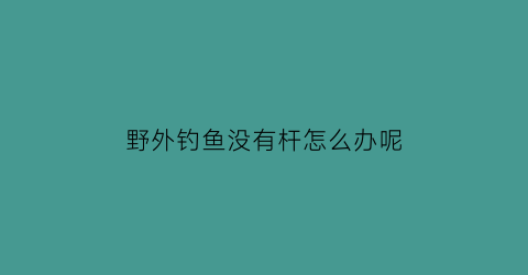 野外钓鱼没有杆怎么办呢