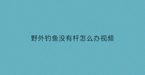野外钓鱼没有杆怎么办视频(野外钓鱼没有鱼食怎么办)