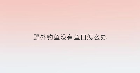 野外钓鱼没有鱼口怎么办