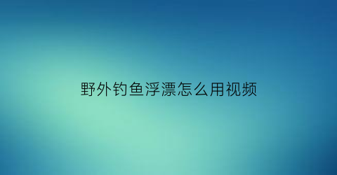 野外钓鱼浮漂怎么用视频(野外如何调漂视频)