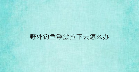 野外钓鱼浮漂拉下去怎么办(野外调漂)
