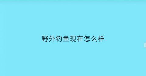 野外钓鱼现在怎么样