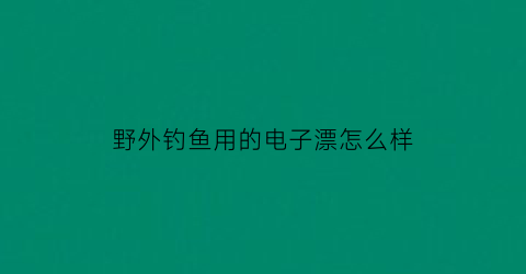 “野外钓鱼用的电子漂怎么样(野外钓鱼)