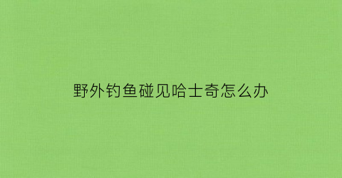 野外钓鱼碰见哈士奇怎么办