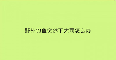 野外钓鱼突然下大雨怎么办(下暴雨钓鱼)