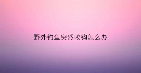 野外钓鱼突然咬钩怎么办(钓鱼时咬钩钓不上来怎么回事)