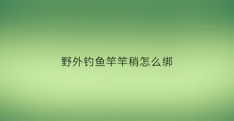 野外钓鱼竿竿稍怎么绑(钓鱼竿的竿稍怎么绑法)