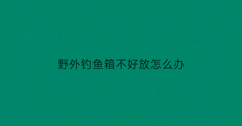 野外钓鱼箱不好放怎么办(钓箱不适合野钓)