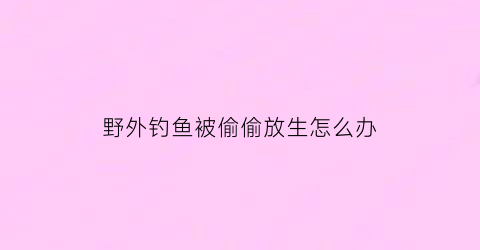 野外钓鱼被偷偷放生怎么办(被钓上来的鱼放生还能活吗)