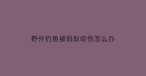 “野外钓鱼被蚂蚁咬伤怎么办(垂钓被蚂蚁咬伤)