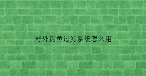 野外钓鱼过滤系统怎么用(野外过滤水的制作方法)