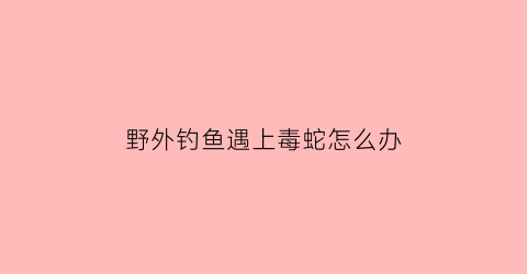 野外钓鱼遇上毒蛇怎么办(野外钓鱼遇上毒蛇怎么办视频)
