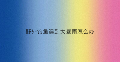 野外钓鱼遇到大暴雨怎么办(野钓下大雨还有鱼口吗)
