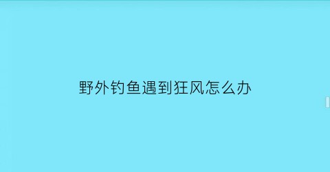 野外钓鱼遇到狂风怎么办(刮风时钓鱼)