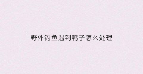 “野外钓鱼遇到鸭子怎么处理(野外钓鱼遇到鸭子怎么处理视频)