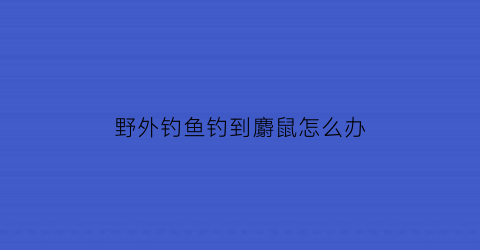 野外钓鱼钓到麝鼠怎么办(怎样找麝鼠窝)