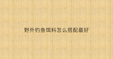 野外钓鱼饵料怎么搭配最好(野外钓鱼饵料怎么搭配最好吃)