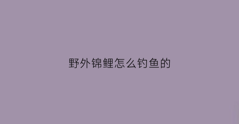 野外锦鲤怎么钓鱼的(野外锦鲤怎么钓鱼的图片)