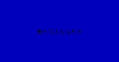 “野外雨天怎么钓鱼(野外雨天怎么钓鱼最好)