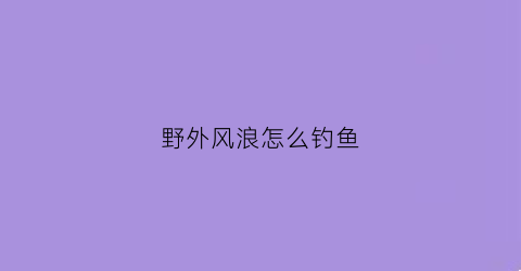 “野外风浪怎么钓鱼(野钓风浪大怎么钓鱼)