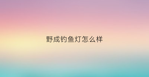 野成钓鱼灯怎么样(野钓灯怎么拆装换电池)