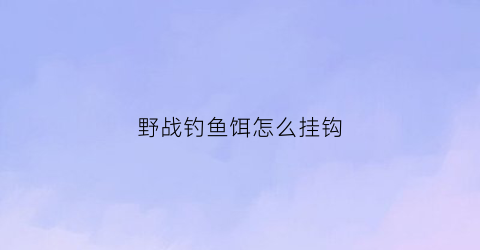野战钓鱼饵怎么挂钩(野战钓鱼饵怎么挂钩最好)