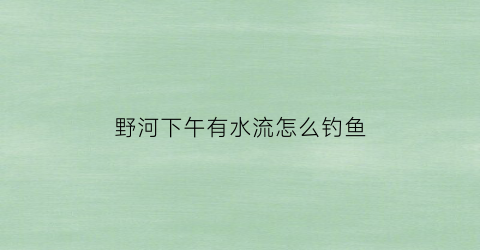 野河下午有水流怎么钓鱼(野河下午有水流怎么钓鱼呢)