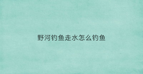 野河钓鱼走水怎么钓鱼(野河里走水怎么钓大鱼)
